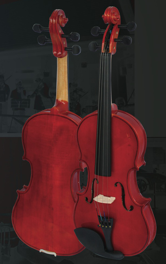 Violin